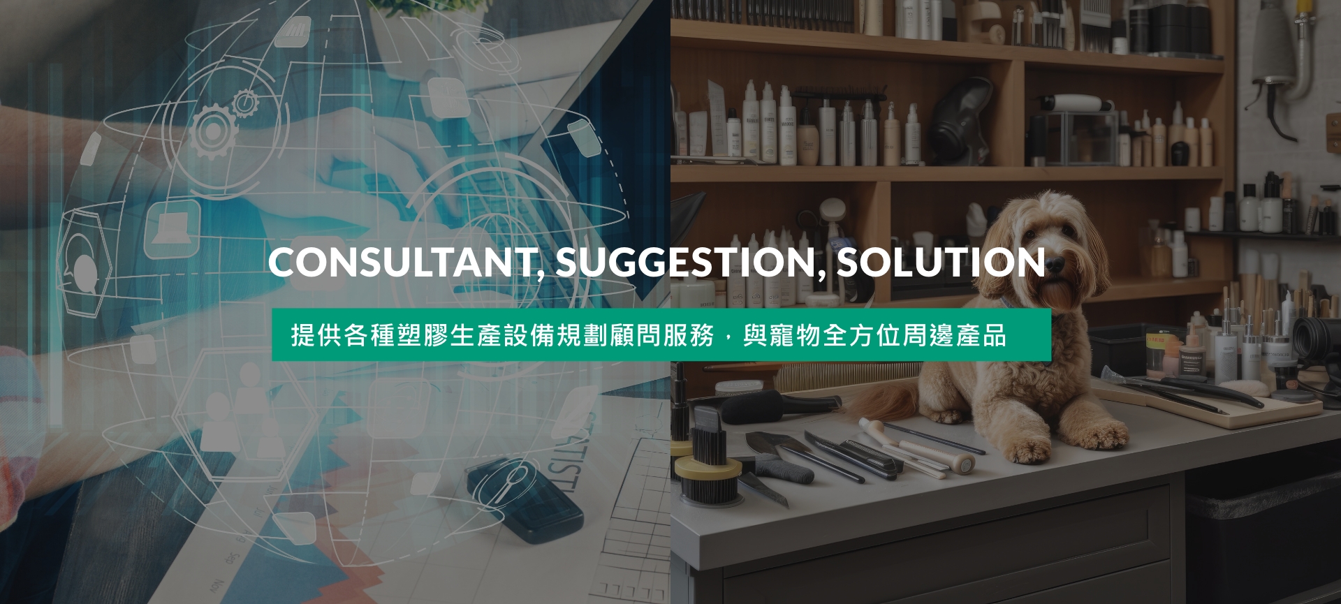 傑仕國際貿易, Consultant, Suggestion, Solution